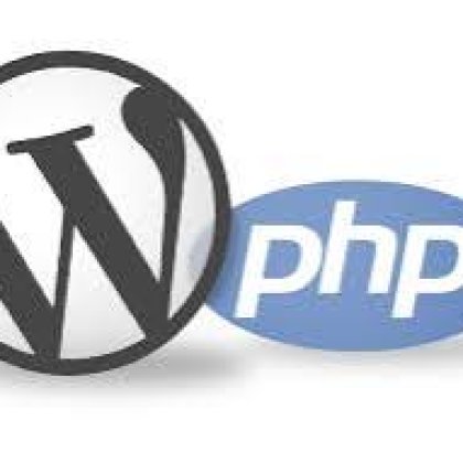 WordPress & PHP Code